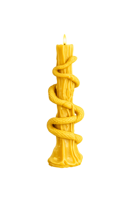 Serpent’s Embrace